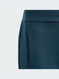 Брюки Adidas ZNE модель IM8397 Фото