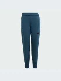 Брюки Adidas ZNE модель IM8397 Фото