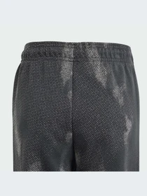 Штани Adidas Культові силуети модель IT9038 Фото