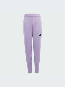 Брюки Adidas ZNE модель IS3395 Фото