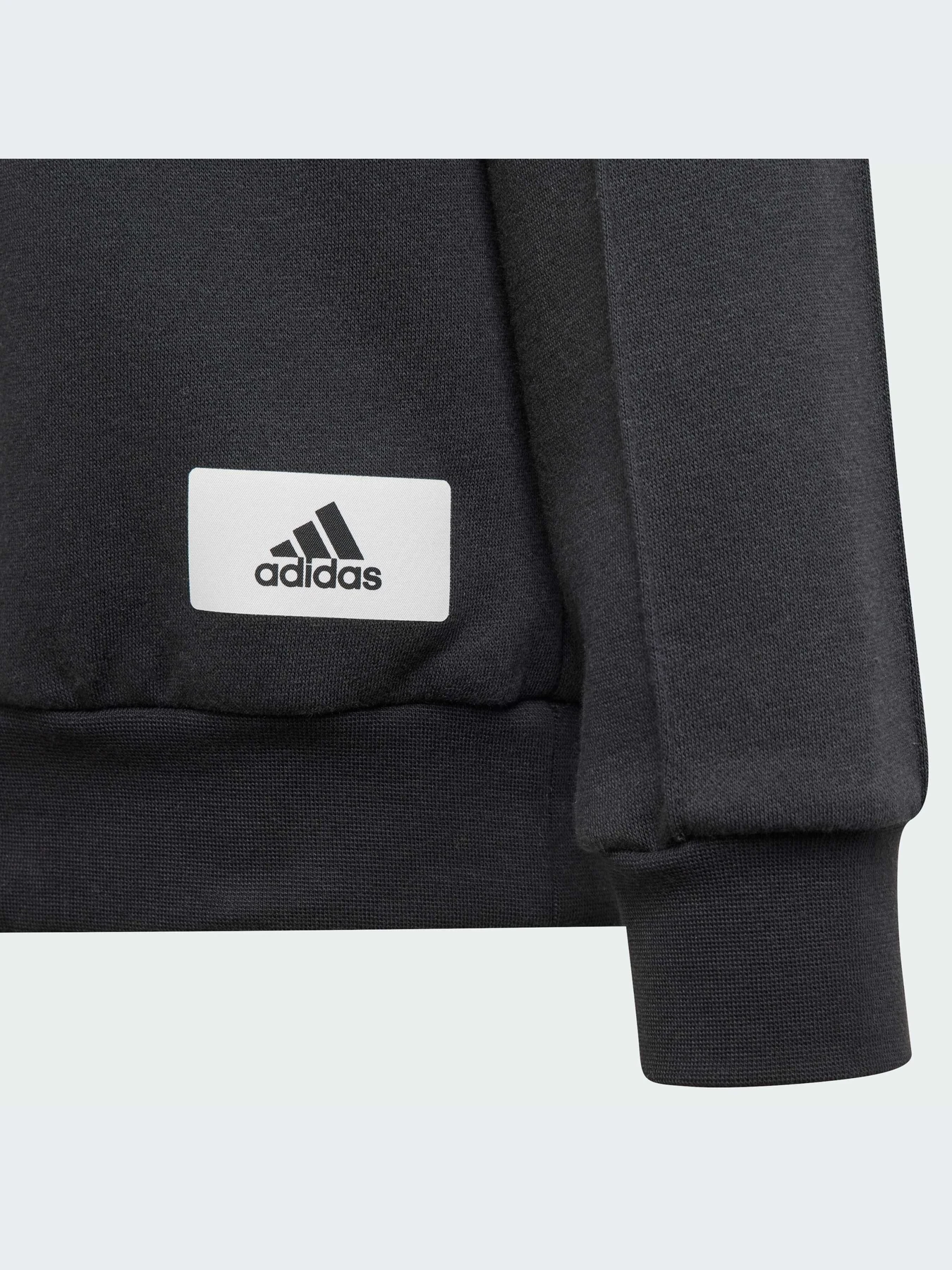 Худі та світшоти Adidas модель IT4841 Фото