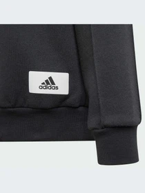 Худі та світшоти Adidas модель IT4841 Фото