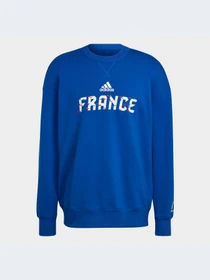 Худи и свитшоты Adidas модель HD6382 Фото