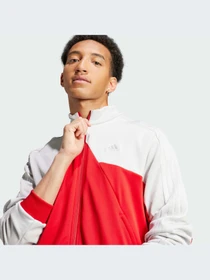 Худи и свитшоты Adidas Tiro модель IM2893 Фото