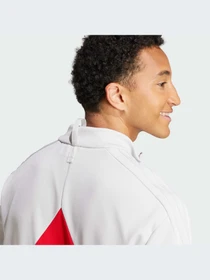Худи и свитшоты Adidas Tiro модель IM2893 Фото