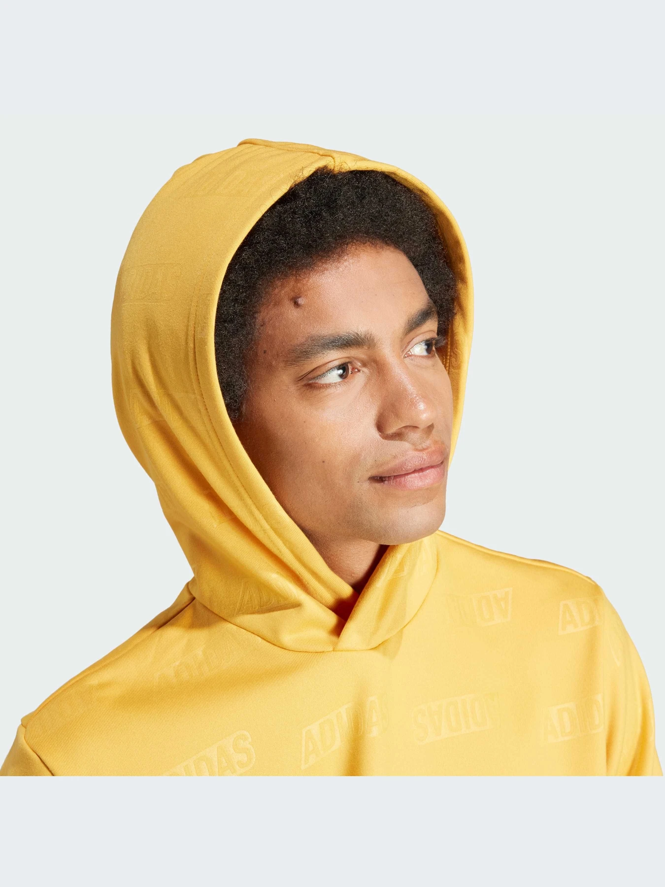 Худи и свитшоты Adidas модель IJ6429 Худи и свитшоты Adidas модель IJ6429 Фото