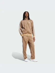 Брюки Adidas Graphics модель IS2922 Фото