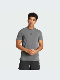 Футболки и поло Adidas Clima модель IS3809 Фото