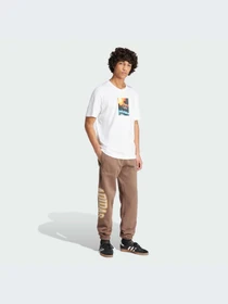 Штани Adidas Graphics модель IS0198 Фото