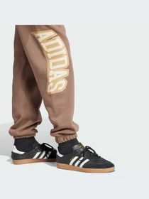 Штани Adidas Graphics модель IS0198 Фото