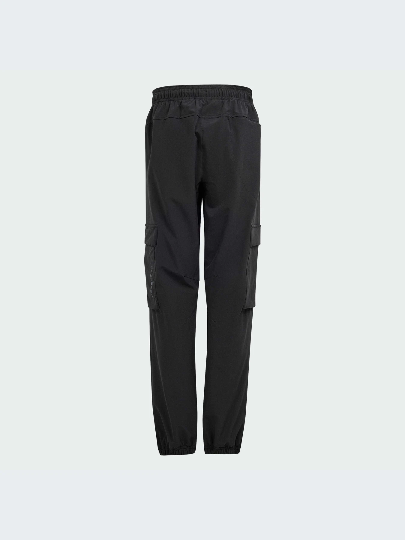 Брюки Adidas модель IN2837 Фото