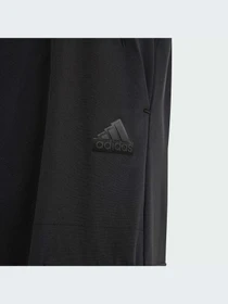 Брюки Adidas модель IN2837 Фото