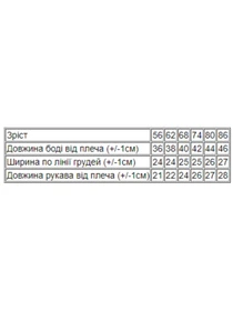 Одяг для немовлят Носи своє модель 5010-024-4-gnomi Фото
