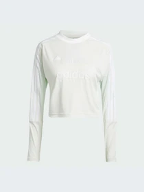 Худі та світшоти Adidas Tiro модель IS4574 Фото