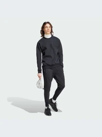 Худи и свитшоты Adidas ZNE модель IN5109 Фото