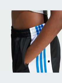 Брюки Adidas Adicolor модель IN6297 Фото