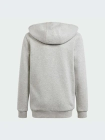 Худи и свитшоты Adidas модель IS3241 Фото