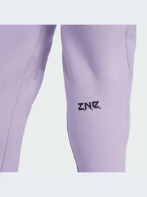 Брюки Adidas ZNE модель IS4334 Фото
