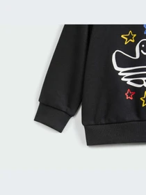Худи и свитшоты Adidas Graphics модель IS3224 Фото