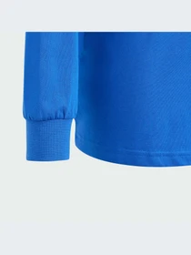Худи и свитшоты Adidas модель IS3229 Фото