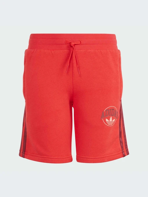 Шорты Adidas Graphics модель IN0619 Фото