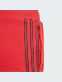 Шорты Adidas Graphics модель IN0619 Фото