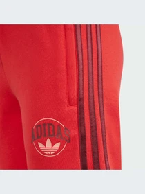 Шорты Adidas Graphics модель IN0619 Фото