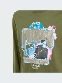 Худи и свитшоты Adidas Graphics модель IR9772 Фото