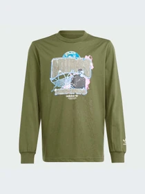 Худи и свитшоты Adidas Graphics модель IR9772 Фото