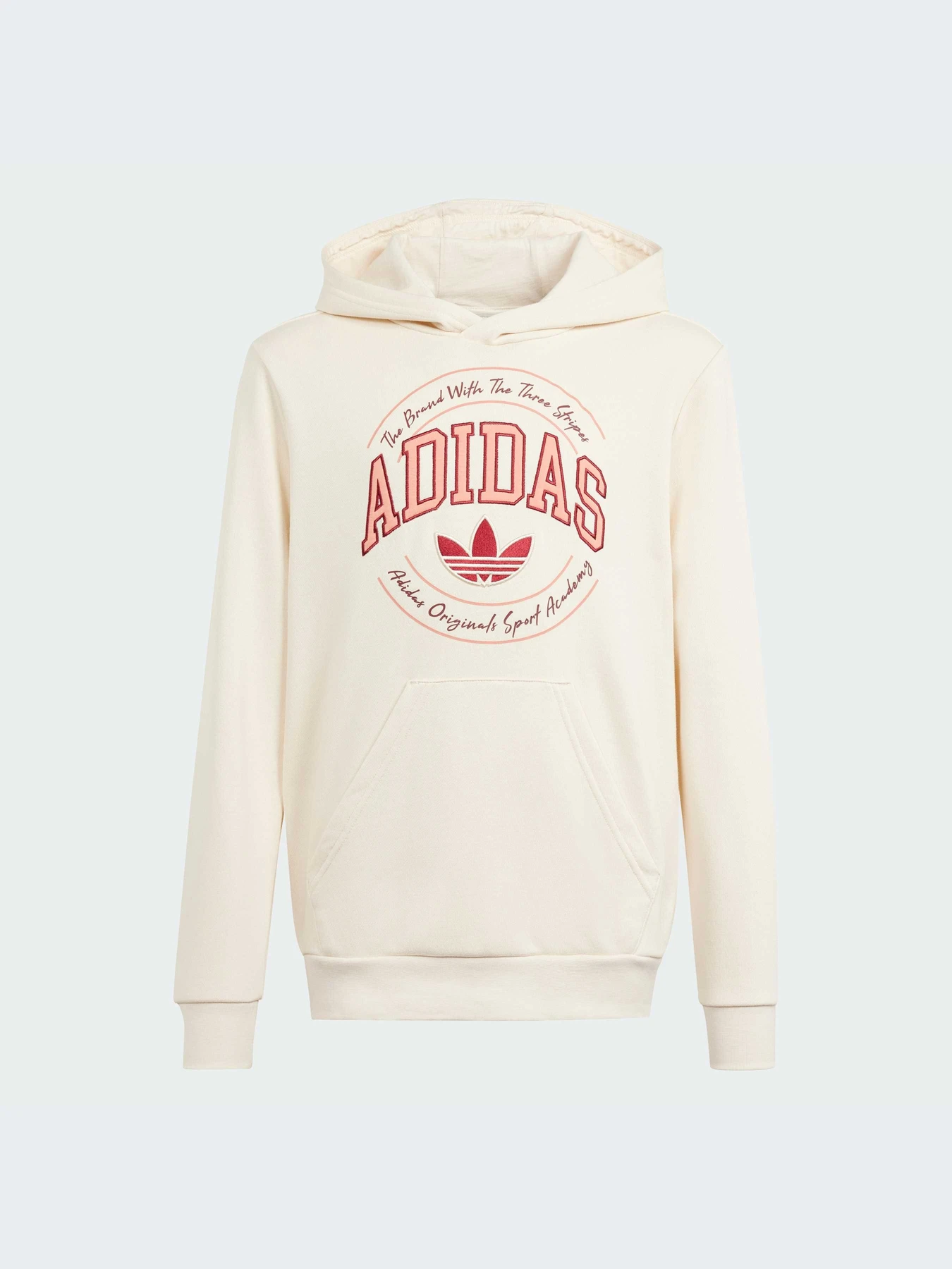Худи и свитшоты Adidas Graphics модель IN0623 Худи и свитшоты Adidas Graphics модель IN0623 Фото