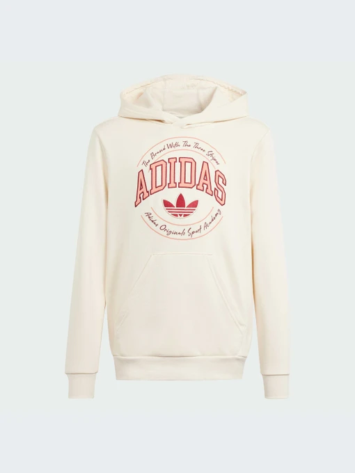 Худі та світшоти Adidas Graphics модель IN0623 Фото