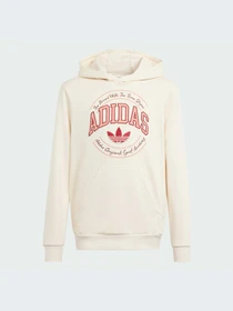 Худи и свитшоты Adidas Graphics модель IN0623 Фото