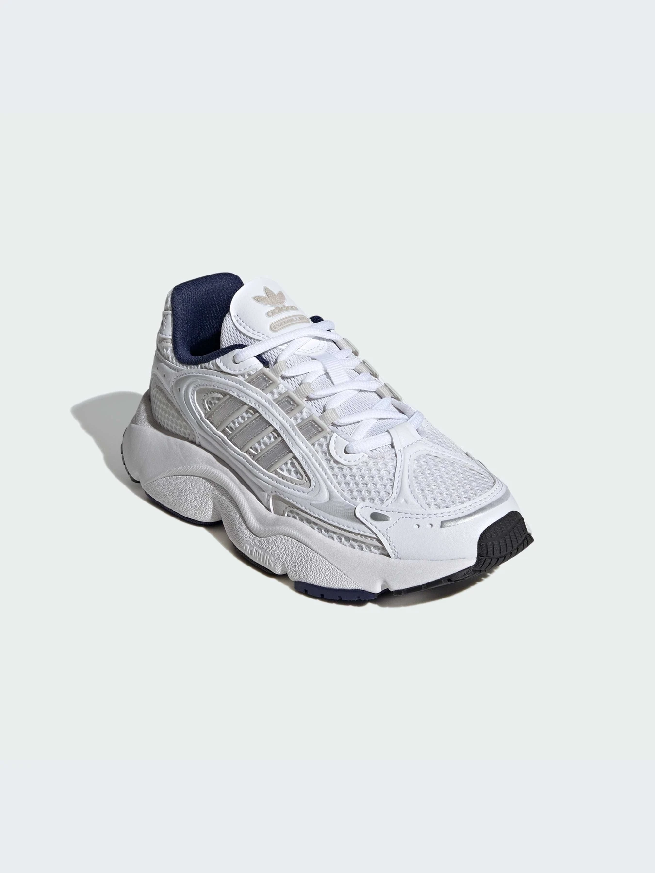 Кроссовки Adidas Ozweego модель ID0694 Фото