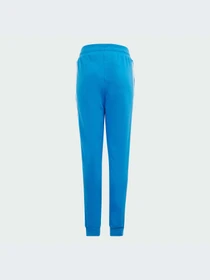 Брюки Adidas Adicolor модель IM9676 Фото