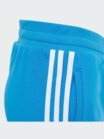 Брюки Adidas Adicolor модель IM9676 Фото