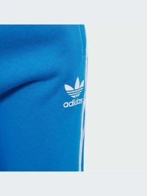 Брюки Adidas Adicolor модель IM9676 Фото