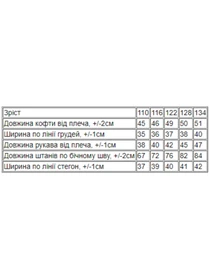 Костюмы Носи своє модель 6018-057-33-3-chornilxno-sinj-smajl Фото