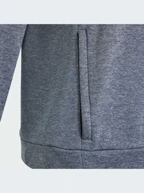 Худі та світшоти Adidas модель IS1675 Фото