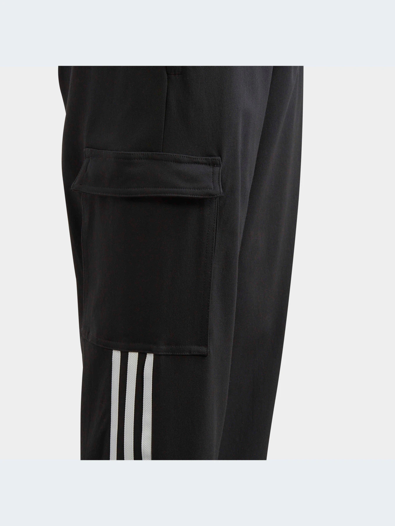 Брюки Adidas Adicolor модель IL1846 Фото