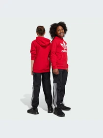 Брюки Adidas Adicolor модель IL1846 Фото
