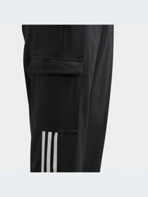 Брюки Adidas Adicolor модель IL1846 Фото