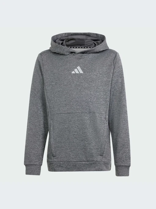 Худі та світшоти Adidas модель IS1674 Фото