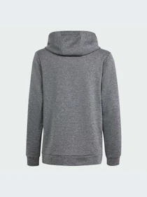Худи и свитшоты Adidas модель IS1674 Фото
