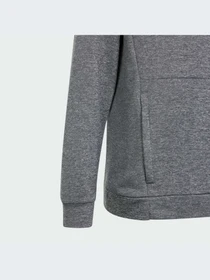 Худи и свитшоты Adidas модель IS1674 Фото