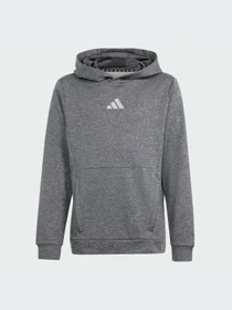 Худи и свитшоты Adidas модель IS1674 Фото