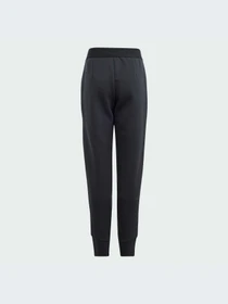 Брюки Adidas ZNE модель IN7288 Фото