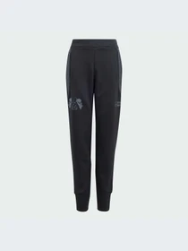 Брюки Adidas ZNE модель IN7288 Фото