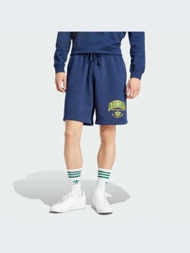 Шорты Adidas Graphics модель IS2930 Фото