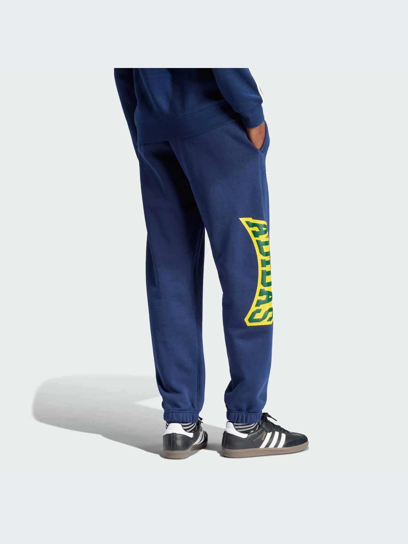Штани Adidas Graphics модель IS0196 Фото