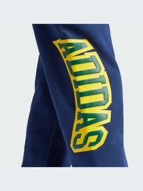 Штани Adidas Graphics модель IS0196 Фото